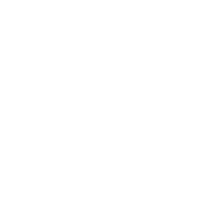 Yuneec Drones